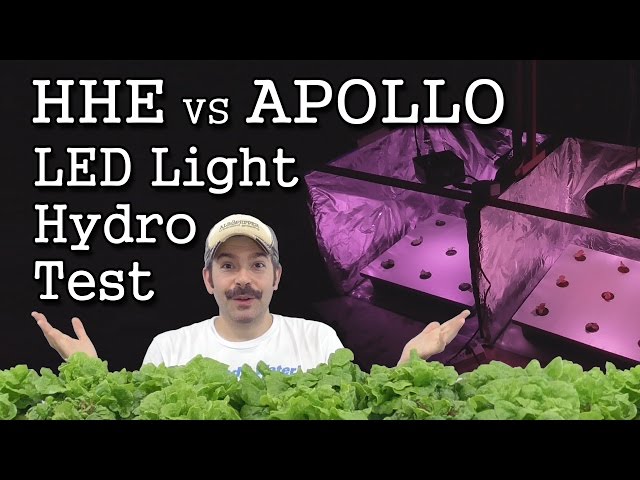 Apollo UFO vs HHE COB: LED Grow Light Experiment (Hydroponic Lettuce)