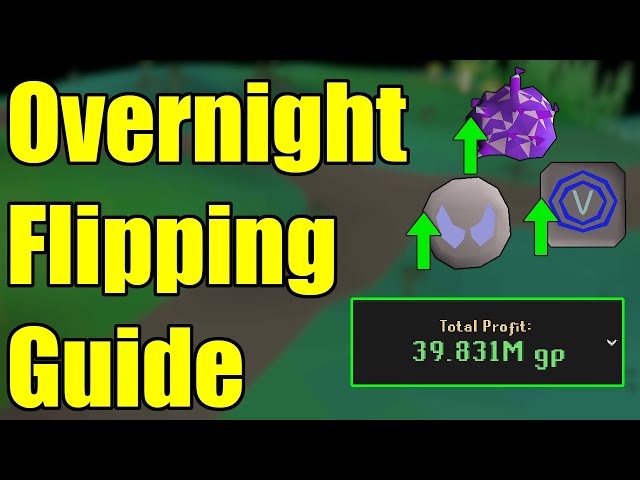 Make 10M a DAY while OFFLINE! - OSRS Overnight Flipping Guide