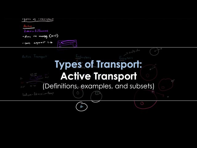 Active Transport - An Introduction to Biology