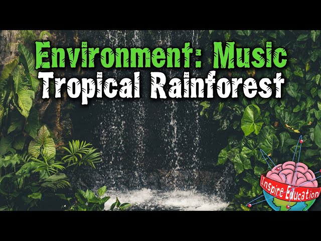 Thematic Music I Rainforests