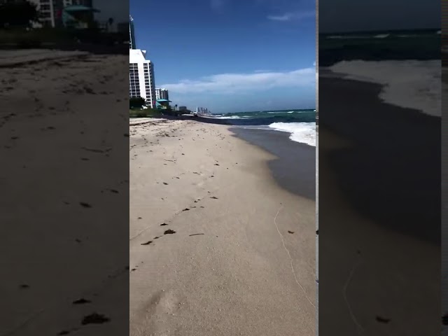 Beach Erosion in Just 1 Week in Miami Beach!