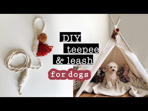 DIYs for DOGS