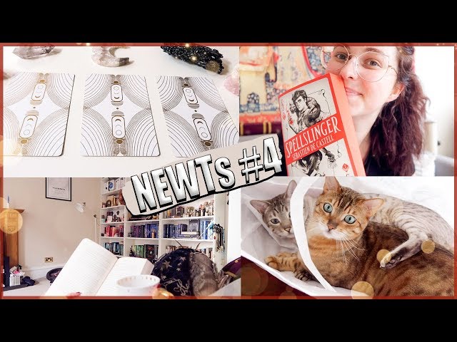 N.E.W.T.S week 4 reading vlog: mischievous cats & pick a tarot card! 🔮