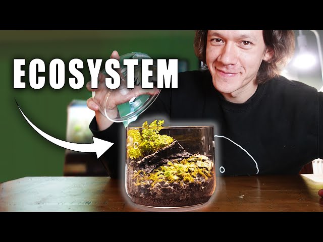 How To Make A Terrarium In 8 Easy Steps