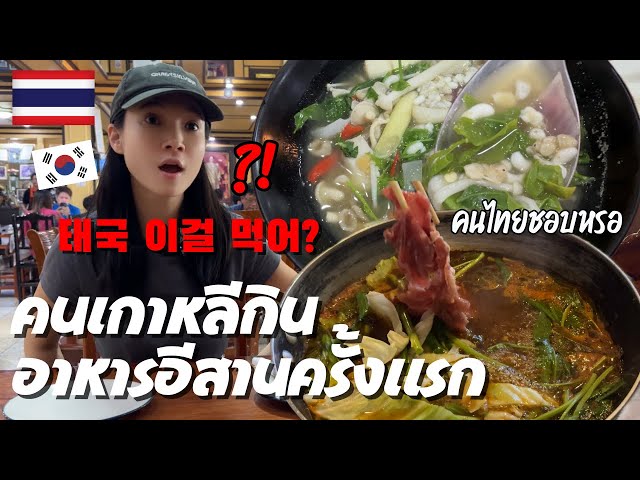 Red ant eggs Korean eating Thai food mukbang khon kaen trip (3)
