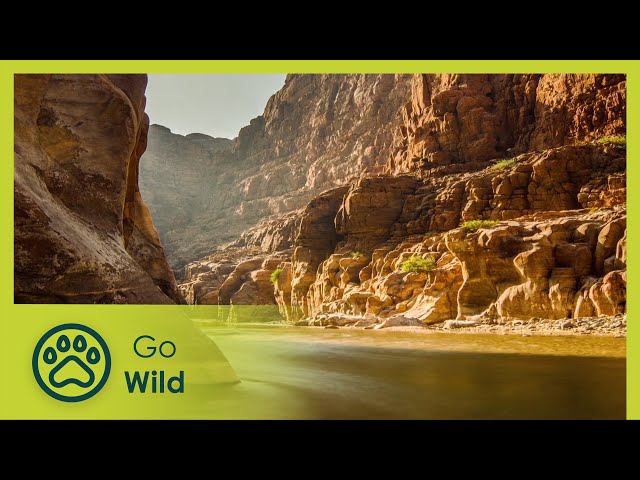 Jordan: Nature's Furnace | Wildest Middle East 3/5 | Go Wild