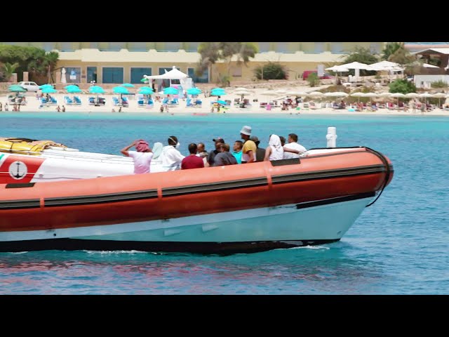 Lampedusa und die Flüchtlinge: Die überforderte Ferieninsel (SPIEGEL TV für ARTE Re:)