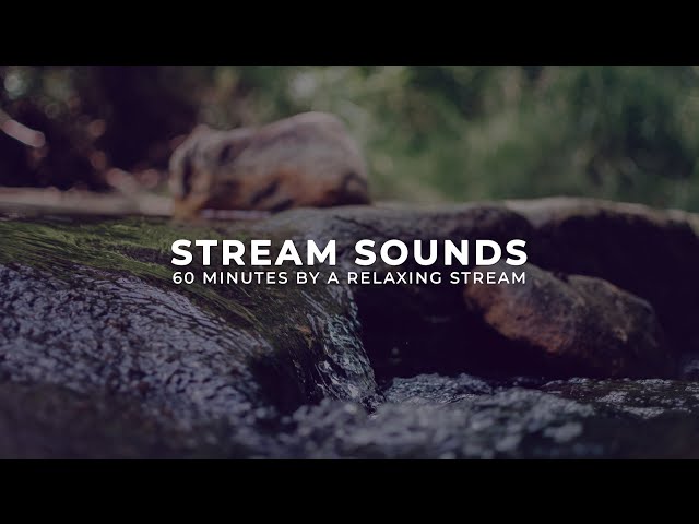 Stream Sounds For Sleeping | 60 Minutes By A Relaxing Stream