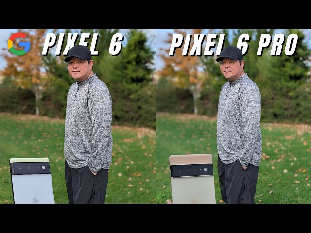 Google Pixel 6 vs Pixel 6 Pro Camera Comparison // $300 difference?!