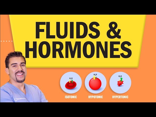 Fluid & Hormones | Regulation of Fluids (RAAS, ADH, & BNP)