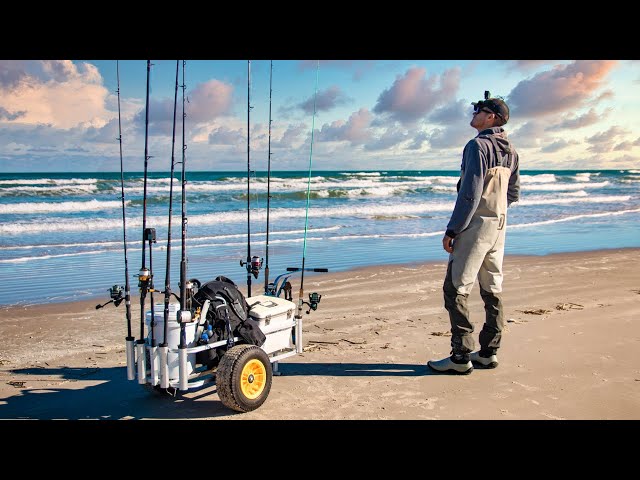 THIS IS WHY YOU FISH THE BEACH! surf fishing catches everything!