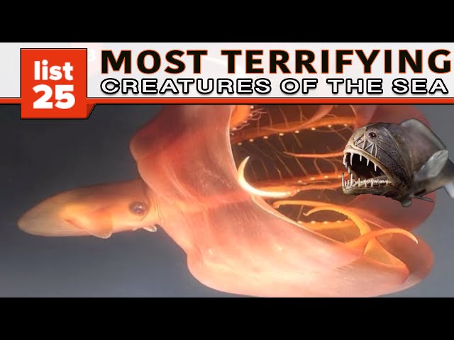 25 Most TERRIFYING Sea Creatures