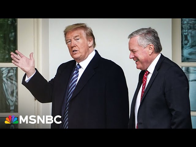 'Top-down scheme': 'Fake elector' plot reached Trump White House, Weissmann says