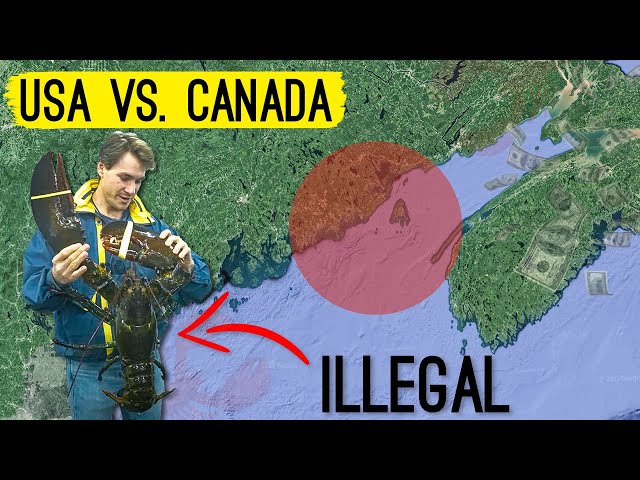 The Lobster Industry is PISSED about this Border Conflict