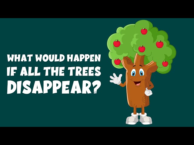 What if all the trees disappeared? - What If All Plants Vanished? - Learning Junction
