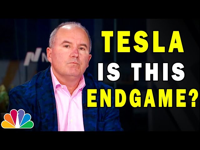 "The Greatest Market Shakeup is Coming To Tesla Stock." - Dan Ives