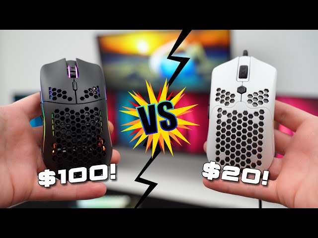 $20 Budget Mouse VS $150 High-End Mouse! - What’s the difference?