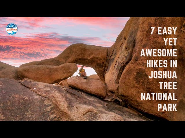 7 Awesome Beginner Hikes Joshua Tree National Park | California
