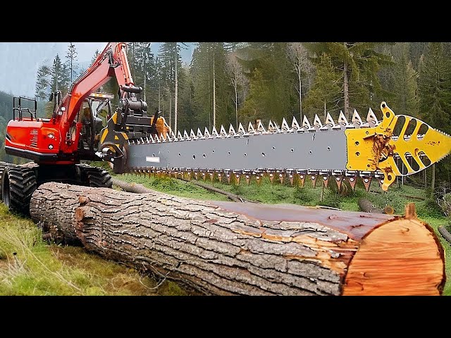 This Powerful Machine Surprises Even Foresters - Incredible Ingenious Woodworking Inventions
