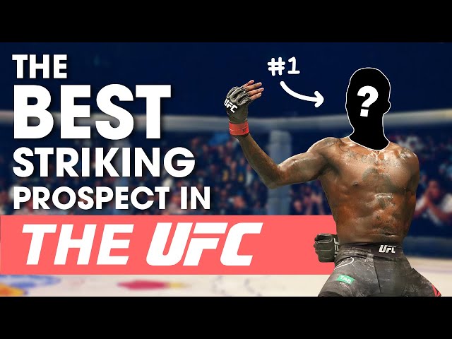 The Best Striking Prospect in the UFC: Israel "Style Bender" Adesanya