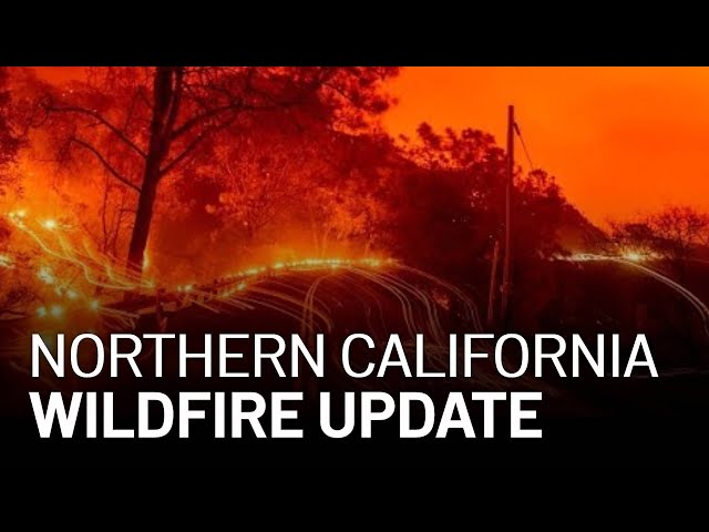 LIVE: Updates on California Wildfires, Evacuations [8/26 4 PM]