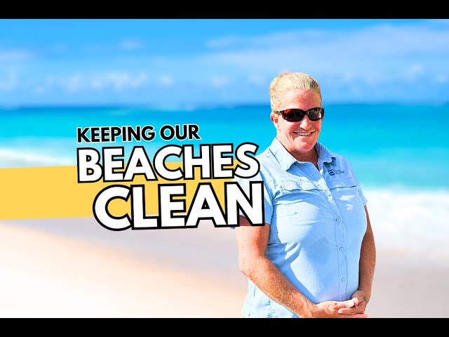 Cleaning Our Beaches 🏖️ Keeping Walton County Beaches PRISTINE!