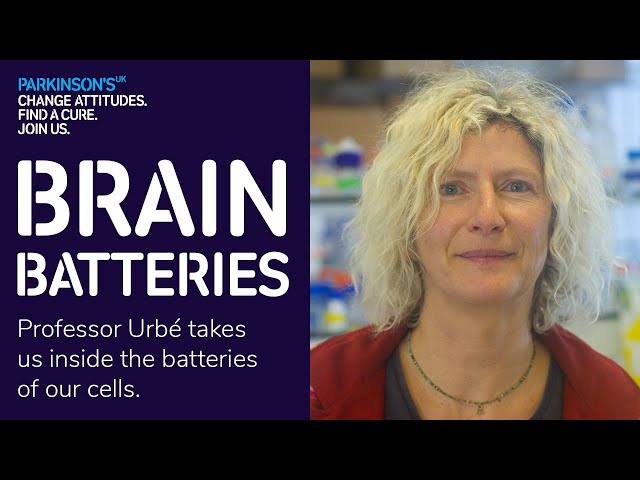 Inside the batteries of our cells