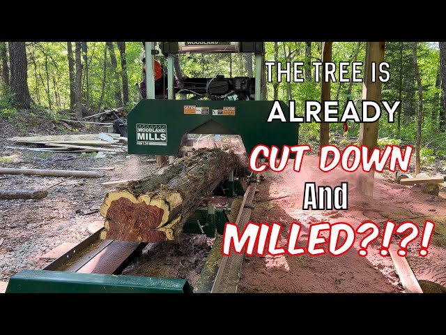 Was This My Fault or the Customers? Lumber Sale Falls Through…