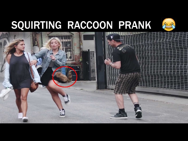 Squirting Raccon Prank-Julien Magic
