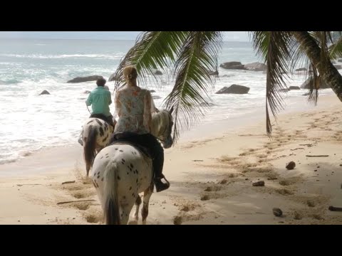 Seychelles Tourism & Islands