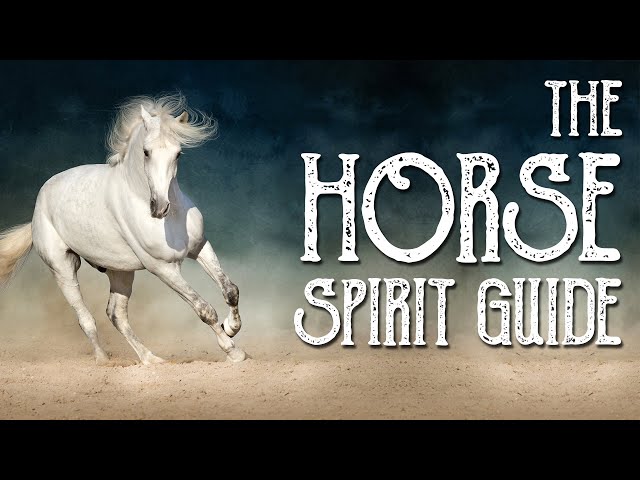 Horse Spirit Guide - Ask the Spirit Guides Oracle Totem Animal - Power Animal Magical Crafting