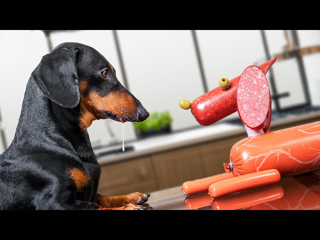 All Dachshunds Are Made from Sausages!