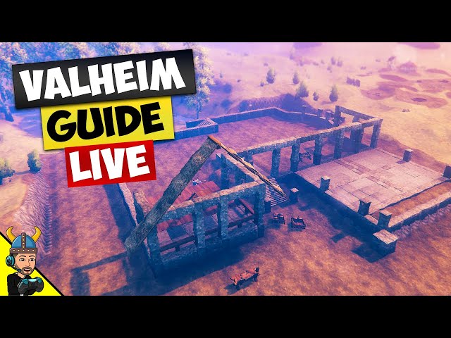 The Valheim Guide - LIVE! Come Chill (: