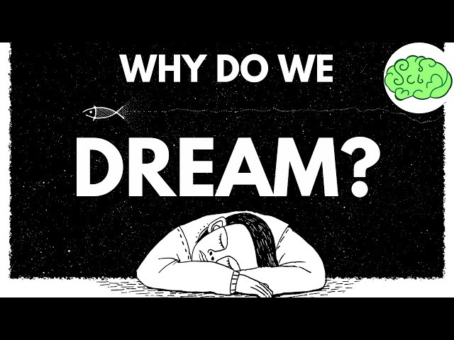 Science Of Dreams | Hindi | Science Paranoia