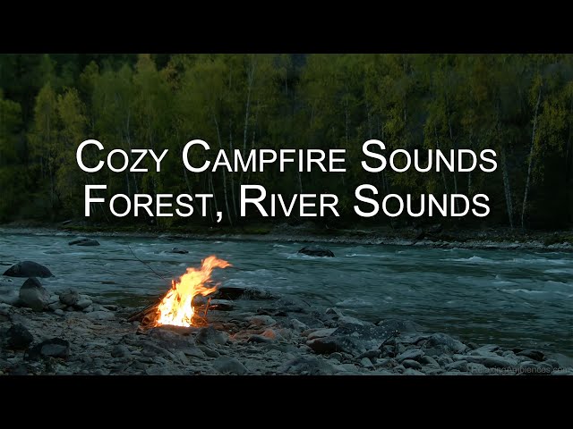 Cozy Campfire 🔥 Relaxing Night Forest, Fireplace, Crackling Fire, Peaceful River Sound | ASMR