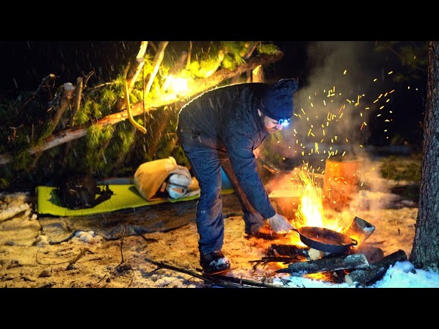 Solo Bushcraft Camp in a SNOW STORM & Cooking over Fire