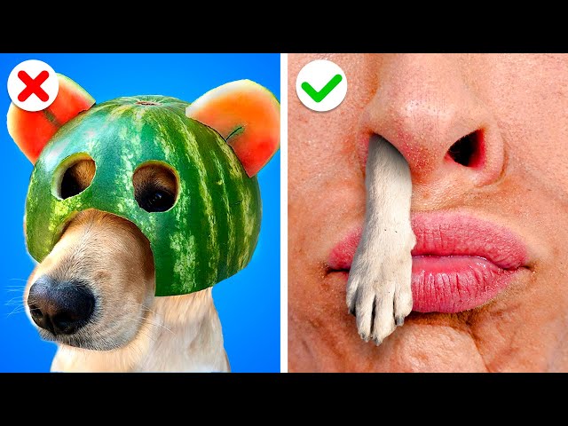 HOW TO SNEAK PETS FROM PARENTS || Funny Pet Hacks