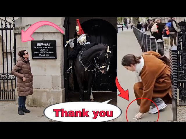 King’s Guard SHOWS ACT OF KINDNESS To These Tourists! Young Lady Is Very Thankful!