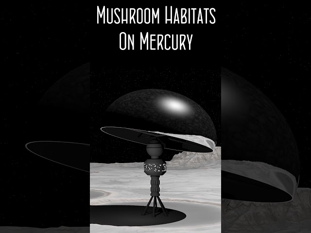 Mushroom Habitats On Mercury