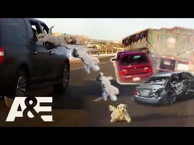 Road Wars You Can’t Look Away From - Top 8 Moments | Road Wars | A&E