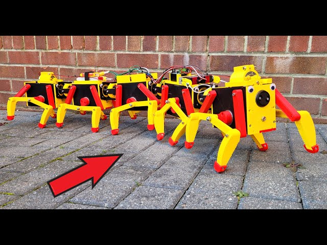 Robot Centipede with Flexible Drive Train