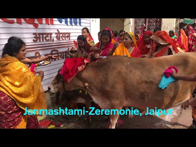 Janmashtami Zeremonie, Jaipur
