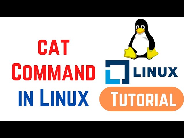 Linux Command Line Basics Tutorials - cat Command in Linux