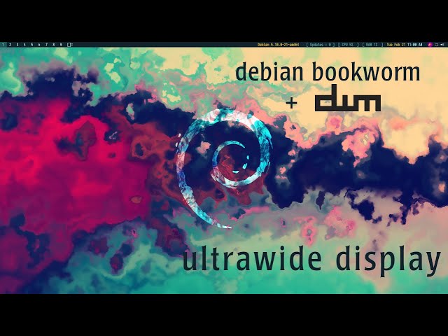 Debian Bullseye + DWM  - Ultrawide display