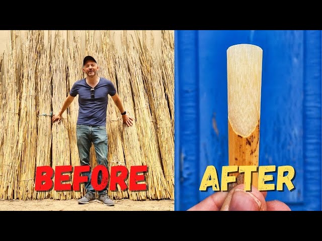 How Saxophone Reeds are Made