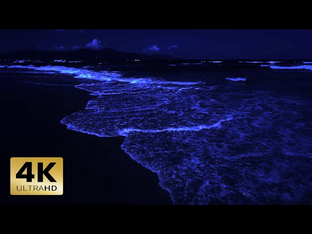 Ocean Sounds For Sleeping 4K | Fall Asleep With Surreal Waves Rolling Slowly Through The Night