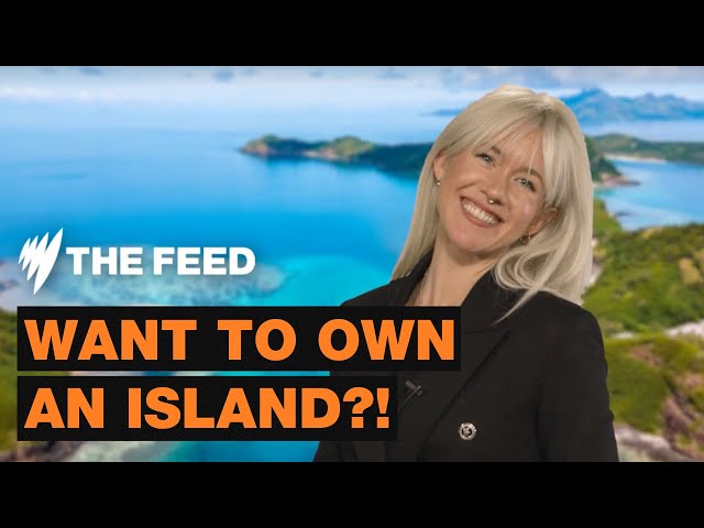 How to buy an island | SBS The Feed