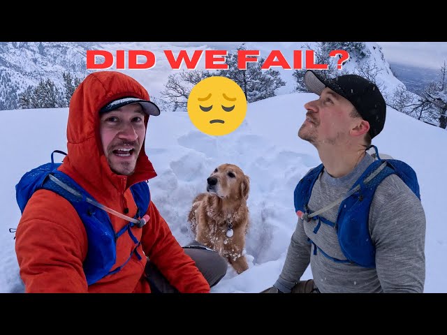 Sometimes, you don't always make it to the end | snow hike with my dog