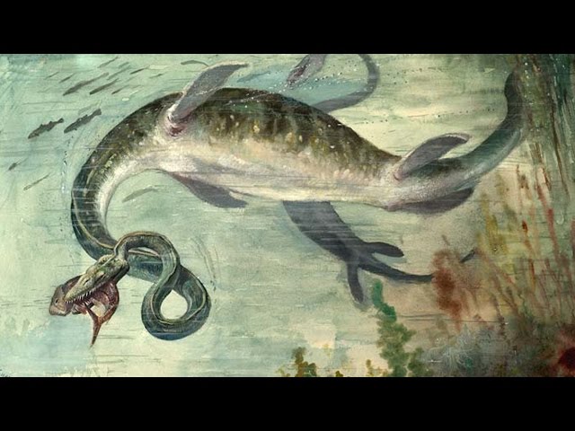 25 Strangest Prehistoric Creatures To Rule The Earth