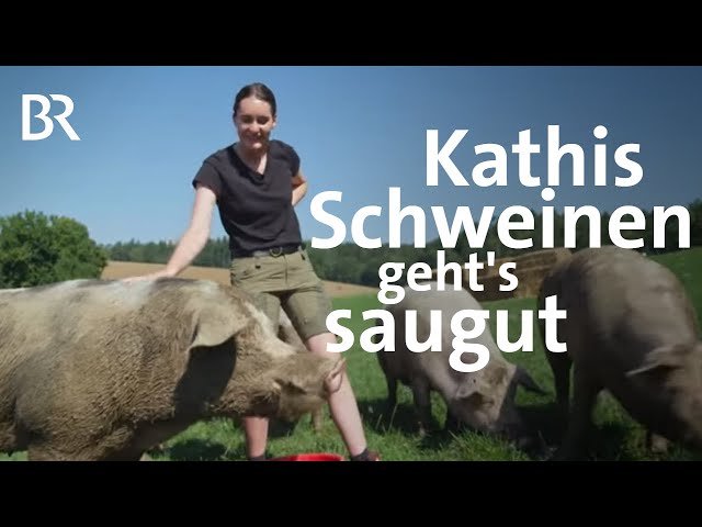 Junge Bäuerin mit 500 Schweinen auf dem Bio-Bauernhof | Niederbayern | Landfrauenküche | BR